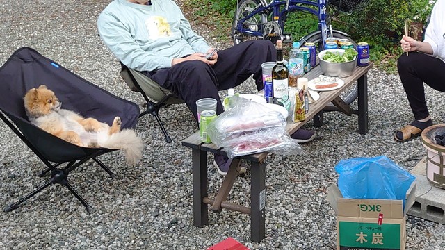 バーベキューでも食べるのはいつものカリカリ（提供：ぴよりん🐣ｵﾌﾞｼﾞｮｲﾄｲ）