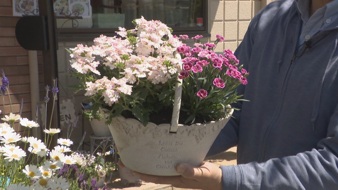 寄せ植え　花_NO.1228 5月4日はみどりの日 「初心者向けの花」「寄せ植えの方法は？」花の