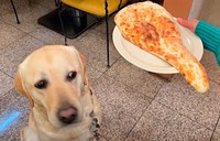 「ナンに似てるね」（画像提供：ロキの相方さん）