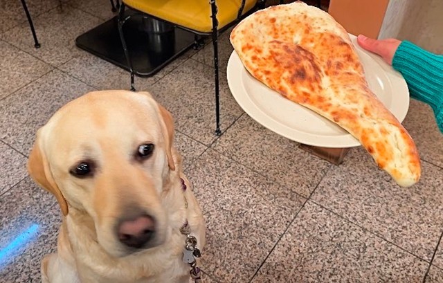 「ナンに似てるね」（画像提供：ロキの相方さん）