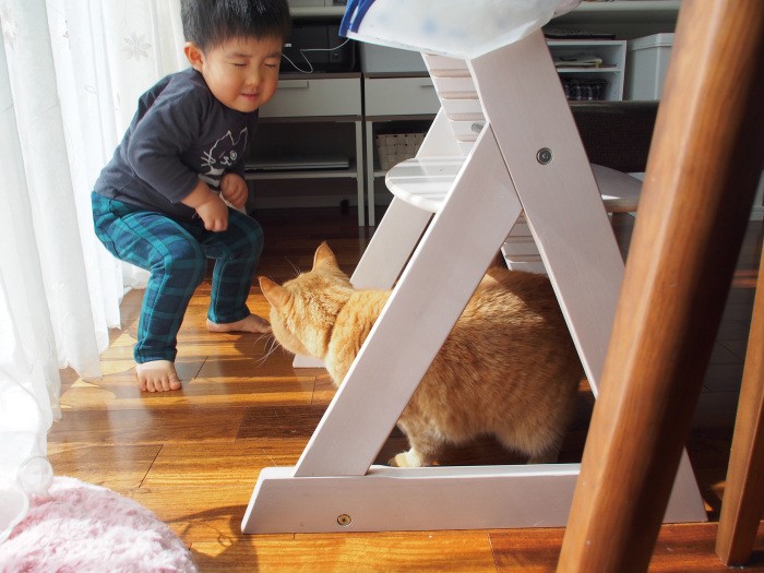 そーっと触ろうとして、たちまちシャアされていた３歳の湊斗くん