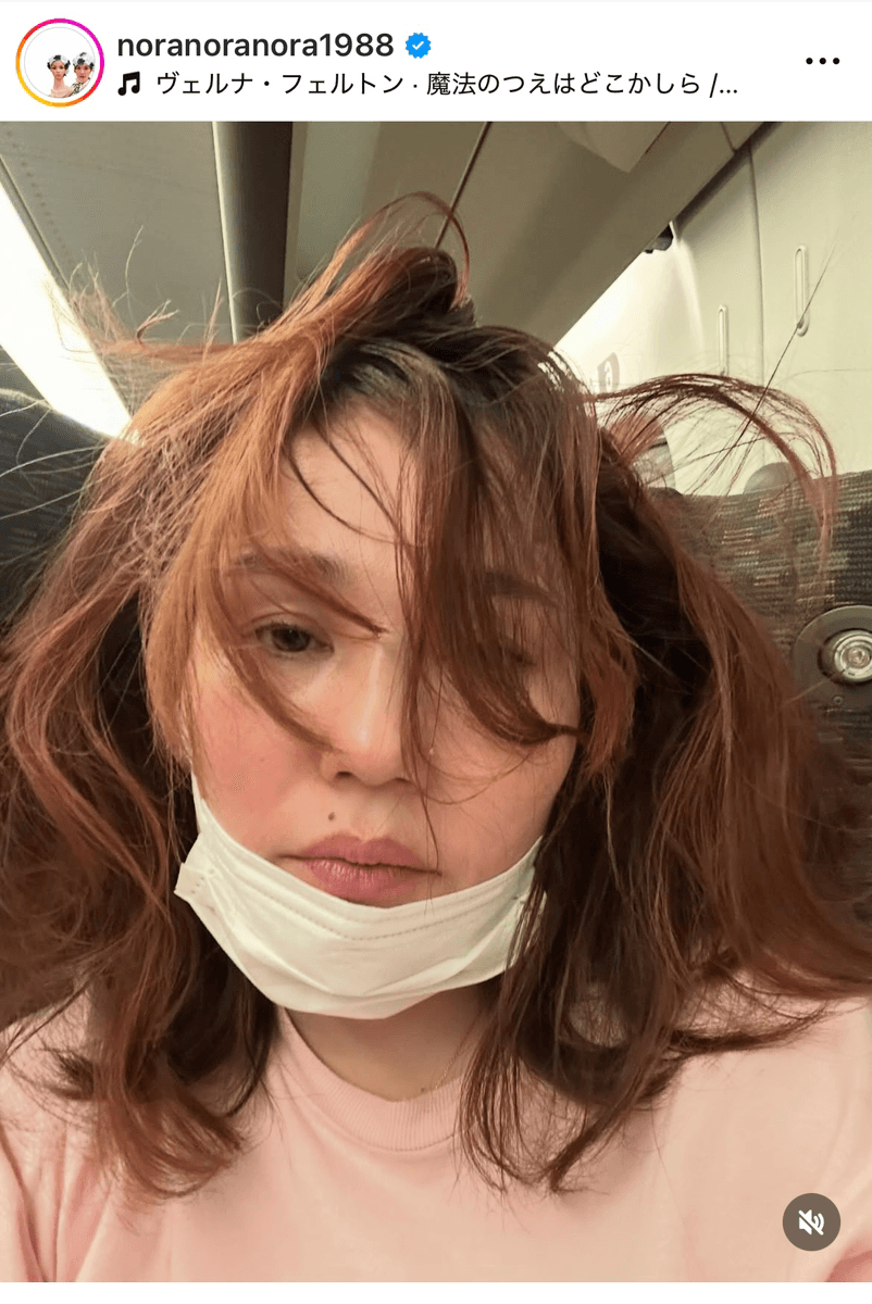 平野ノラ Nora Hirano (@noranoranora1988)さんのインスタグラムより