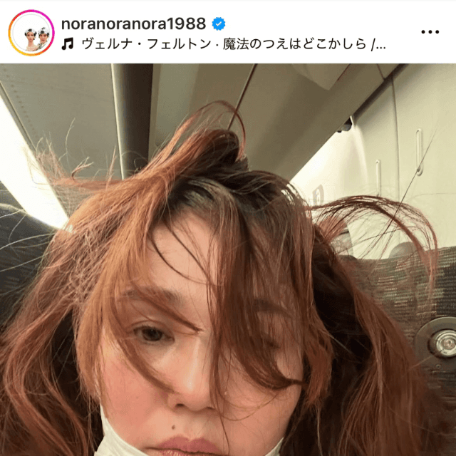 平野ノラ Nora Hirano (@noranoranora1988)さんのインスタグラムより