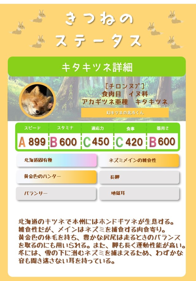 キタキツネのステータス（写真提供：おびひろ動物園）