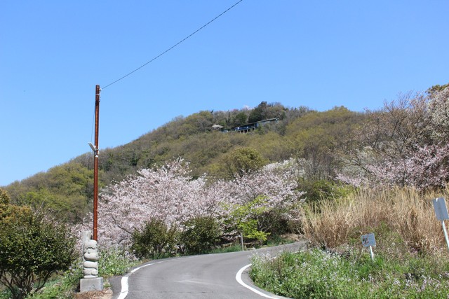 女木島06