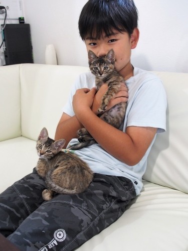 まろんちゃん（ひざの上）は、好奇心いっぱいのお姉ちゃんキャラ