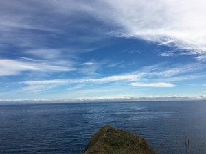 ハニバタトースト