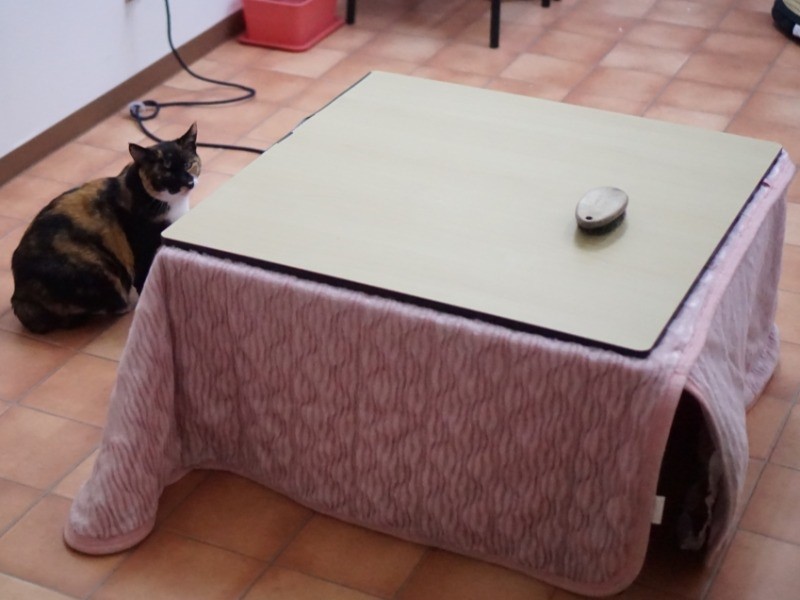 冬の間はコタツも置いていました（伊藤さん提供）