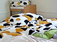 「てぃらのを探せ！」 （画像提供：てぃらのさん）