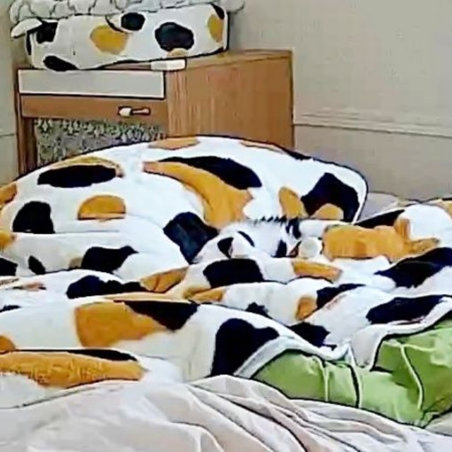 「てぃらのを探せ！」 （画像提供：てぃらのさん）