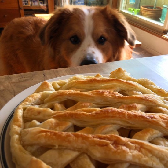 アップルパイ焼けた？くださいな