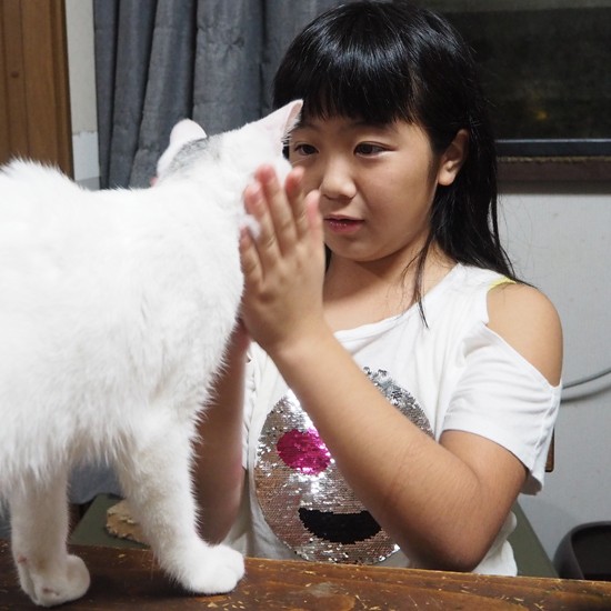 猫は友だちなんだ（菅聖子さん提供）