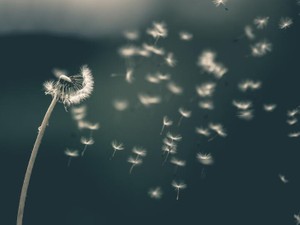 手を合わせたくなる、菩薩のような恋人との電話で浄化される毎日