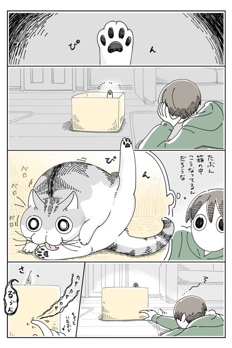 【漫画】「箱の中のネコの様子」（提供：キュルZさん）