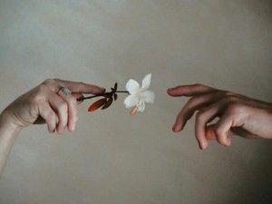 あなたの言葉だから信じられる。小説家の夢を支えてくれた友人の言葉