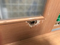 パワフルなジャック女子らしく、ドアに穴を空けたことも。いい思い出になりましたね……（提供：中野あしほさん @Asihotumiushi）