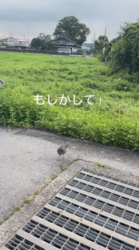 もしかして！グレーチングの下に？（「セブン‐イレブンさくら喜連川店」さん提供、Instagramよりキャプチャ撮影）