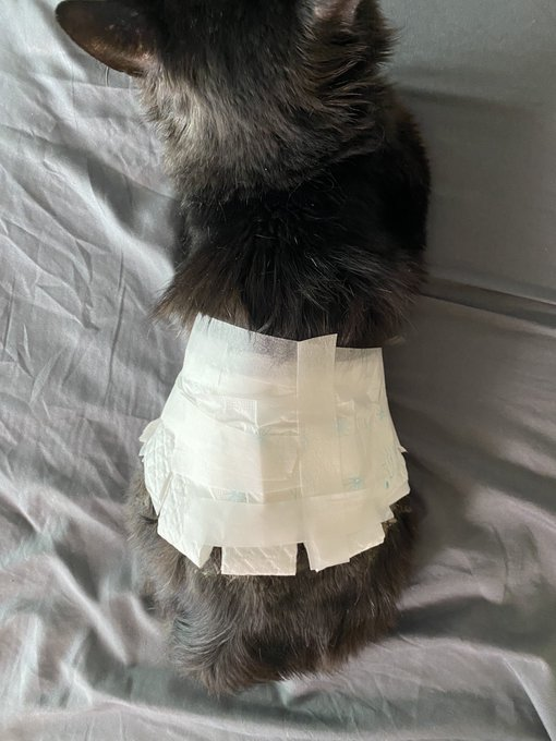 スカートのように切り込みを入れた保湿シート