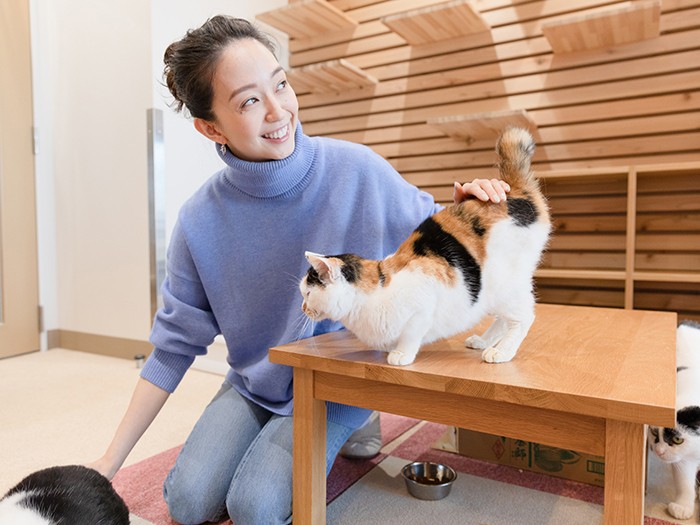 猫と触れ合える部屋もある