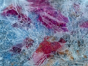 まだ女王気取り？他人を問い詰める「ドウドウ癖」という私のみっともなさ