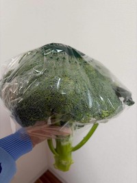 道の駅「もっくる新城」で買った巨大なブロッコリー／mioさん（@miosaku39）提供