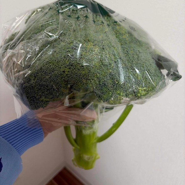 道の駅「もっくる新城」で買った巨大なブロッコリー／mioさん（@miosaku39）提供