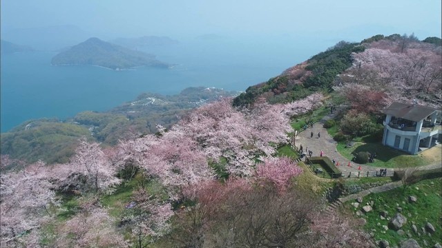 紫雲出山　資料