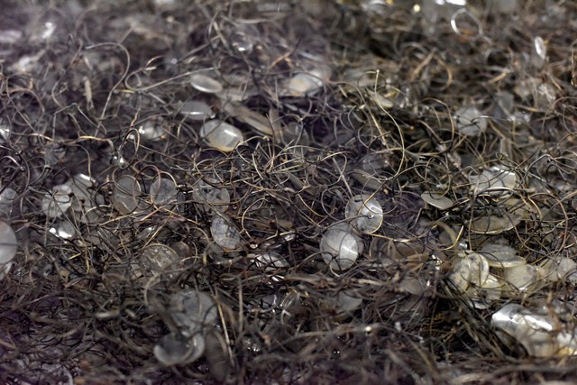 写真】アウシュビッツ強制収容所で殺害された人々の遺品：朝日