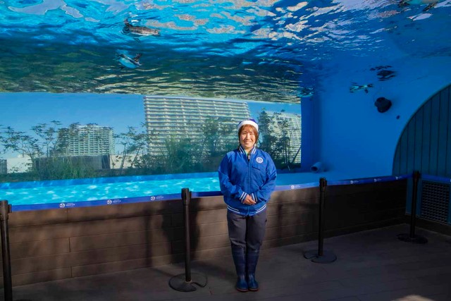 屋外にあって水温の変化が大変な「天空のペンギン」担当の渡邉果南さんは飼育歴15年のベテラン