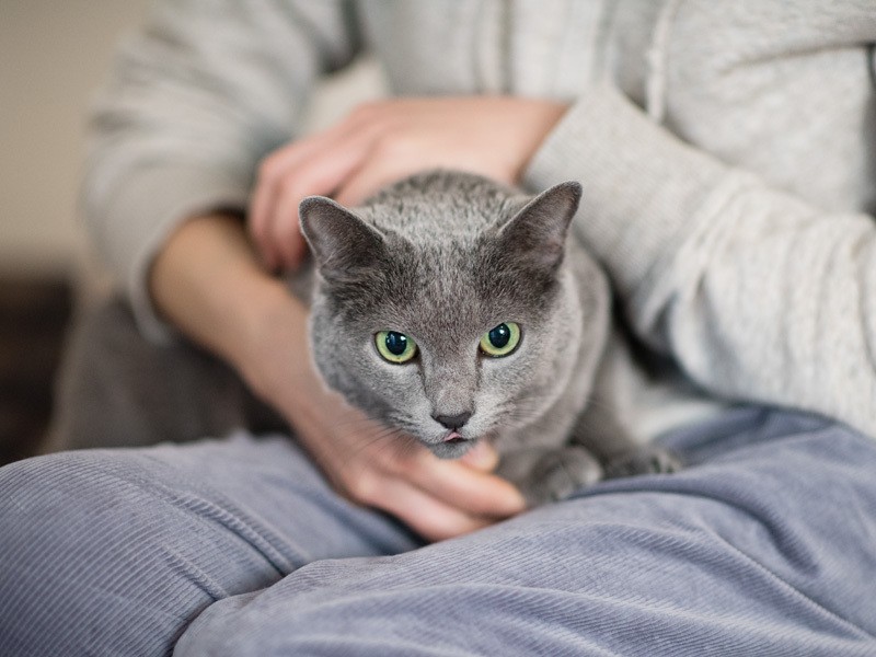 「うちの母ちゃんすごいんだ、なめたらあかんぜ」（小林写函撮影）