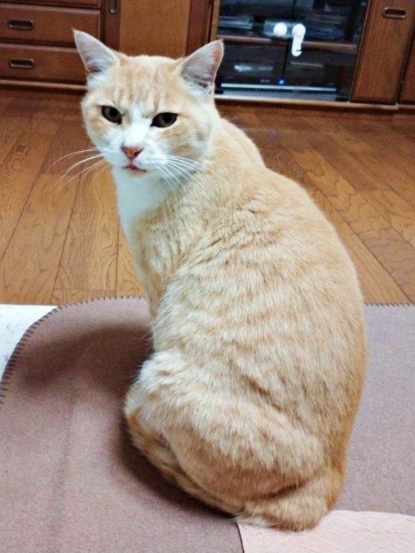 すくすくと成長したフータくん（画像提供：ナオとフータさん）