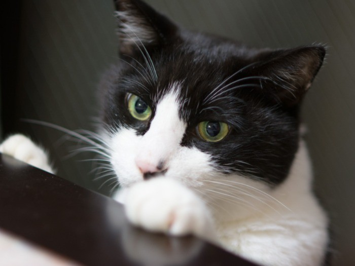 「なんかうまいもの食べてるの？」（小林写函撮影）