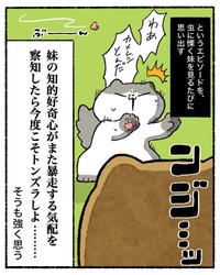 【漫画】『知的好奇心が地獄を引き寄せた話』37（ゆう｜ノープロブレムキャットさん提供）