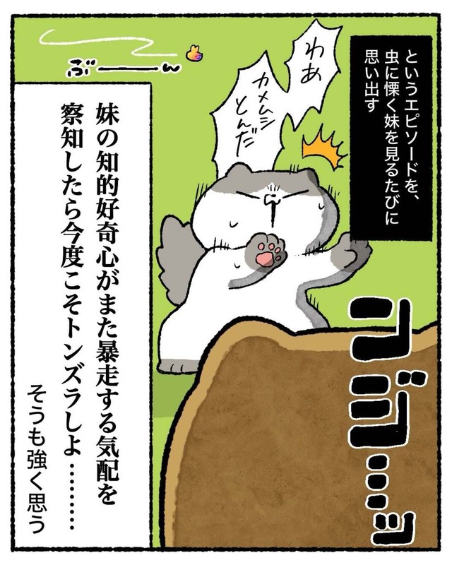 【漫画】『知的好奇心が地獄を引き寄せた話』37（ゆう｜ノープロブレムキャットさん提供）