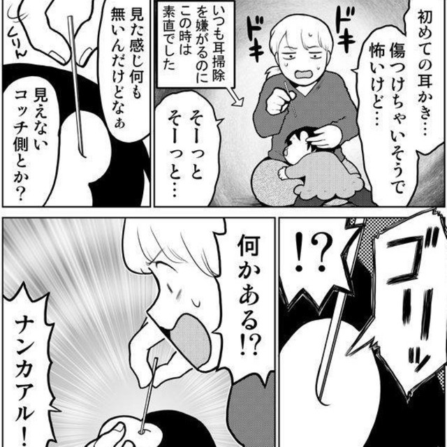 本当に何かある！（きくまきさん提供）