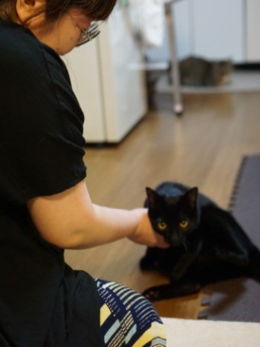 「また猫と暮らせるようになって、うれしいよ」「僕もママと出会ってうれしいよ」