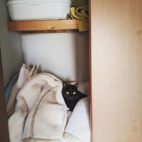 布団をしまってあるクローゼットの中がお気に入り、りょうたろうくん＝hanarenaryou提供
