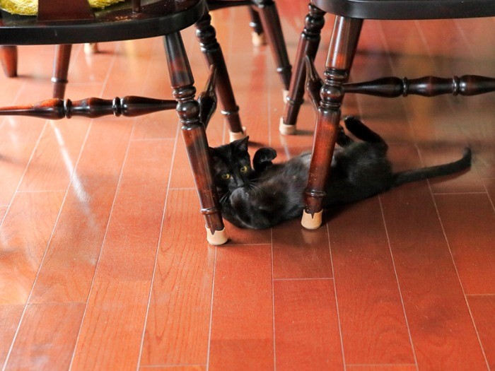 くそ可愛いな！