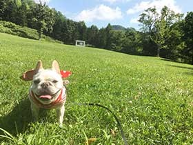 大自然のなかで大はしゃぎ！ フレブルの「ヒメ・ゴンザレス」