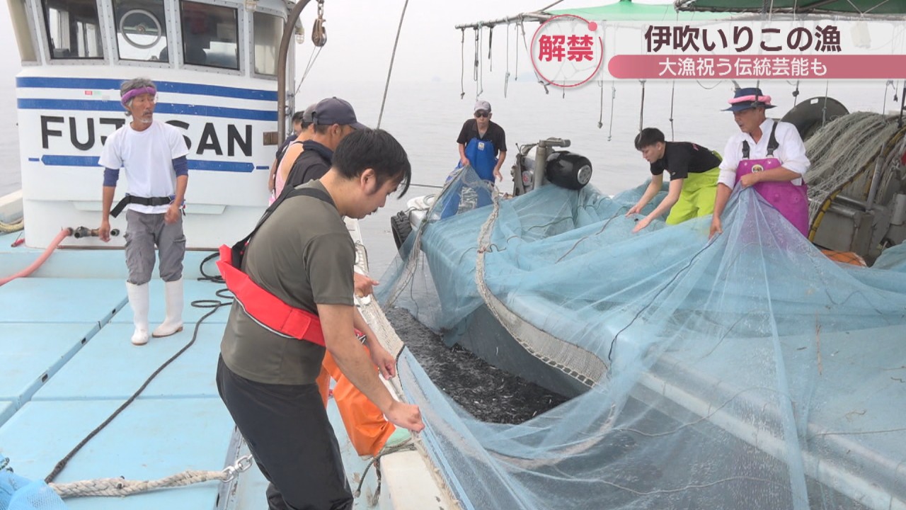伊吹島でカタクチイワシの漁が解禁 うどんのだしに欠かせない