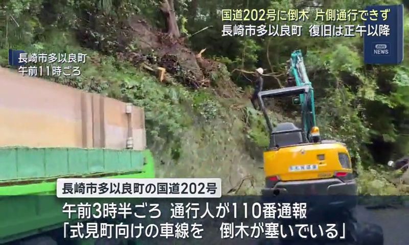 長崎市多以良町の国道202号に倒木 片側通行できず 復旧は正午以降(7