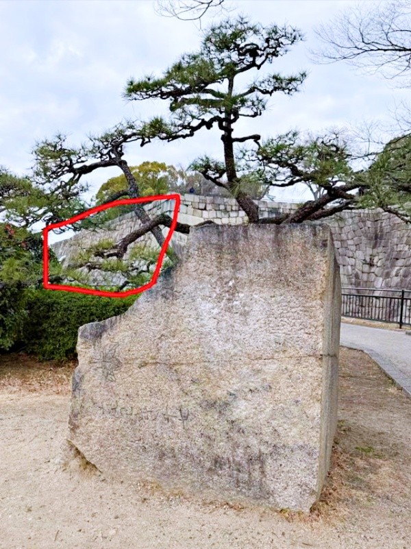 仏を掘ったような石をみつけた赤い囲いの場所（画像提供：ぱんさん）