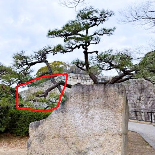 仏を掘ったような石をみつけた赤い囲いの場所（画像提供：ぱんさん）