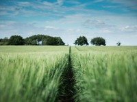 ひとり旅で出会った夏の景色。越後妻有で見つけた孤独は心地よかった