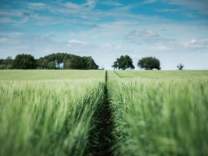 ひとり旅で出会った夏の景色。越後妻有で見つけた孤独は心地よかった