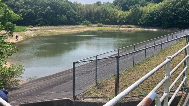 男児が見つかった城根池　岡山県総社市　6月1日午後1時半ごろ
