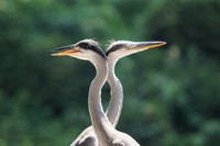 バディ感のあるクールな一枚（画像提供：リクさん）