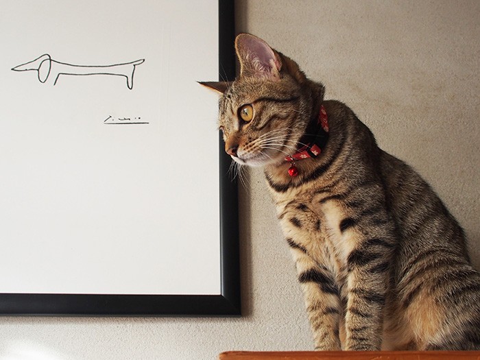 ５月のチーたんは、まだ細かった