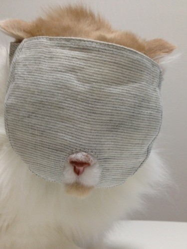 リクエストにより後から生まれた”鼻ぺちゃ”用のもふもふマスクをつけるミルクさん　（nekozuki提供）