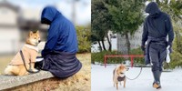 散歩中の禄くんと飼い主さん（画像提供：柴犬 ろくさん）
